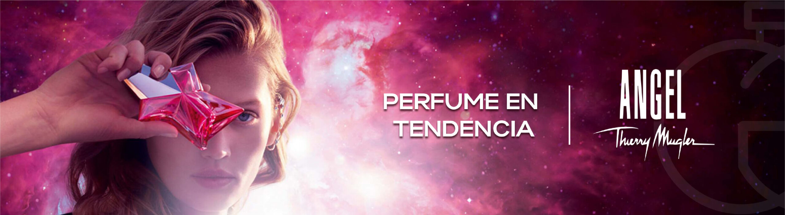banners web-02