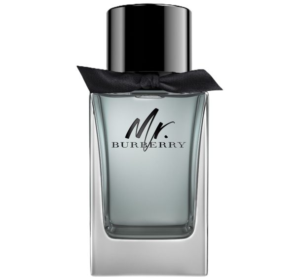 Burberry Mr Burberry EDT Mas 100ml